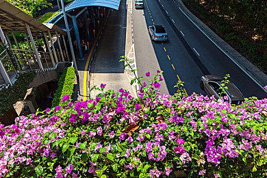 《永恒空间2》4月6日发售正式版 Steam售价即将永涨